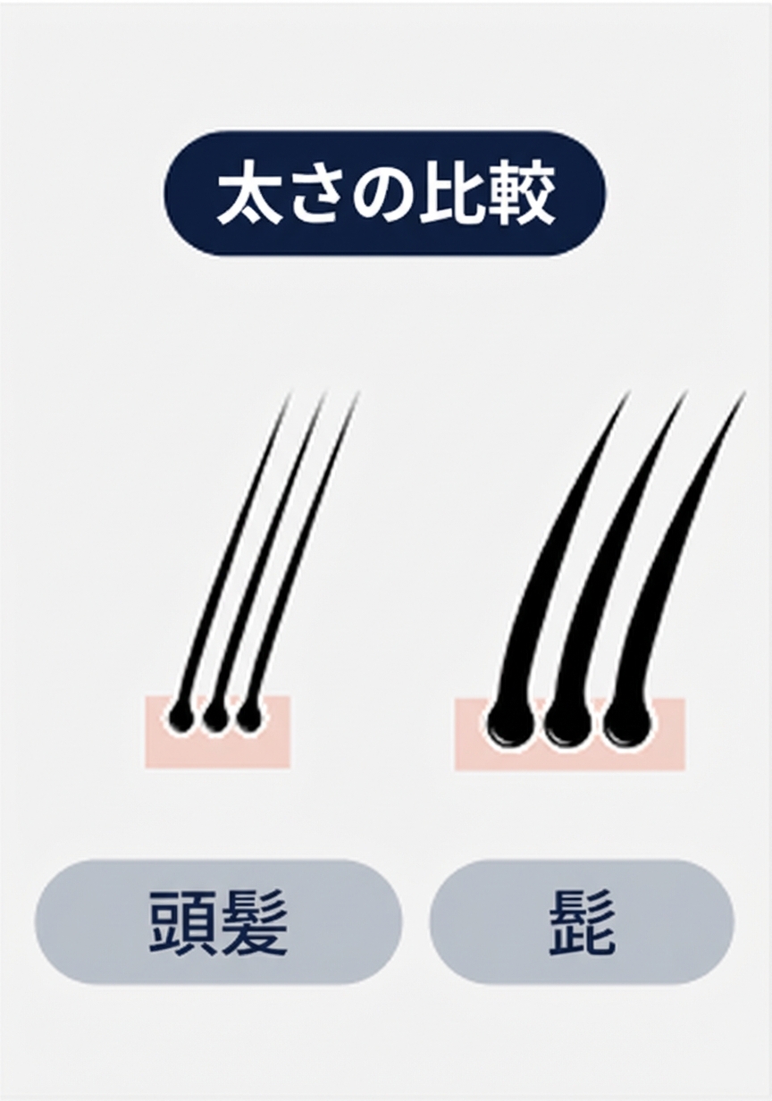 多様な性質